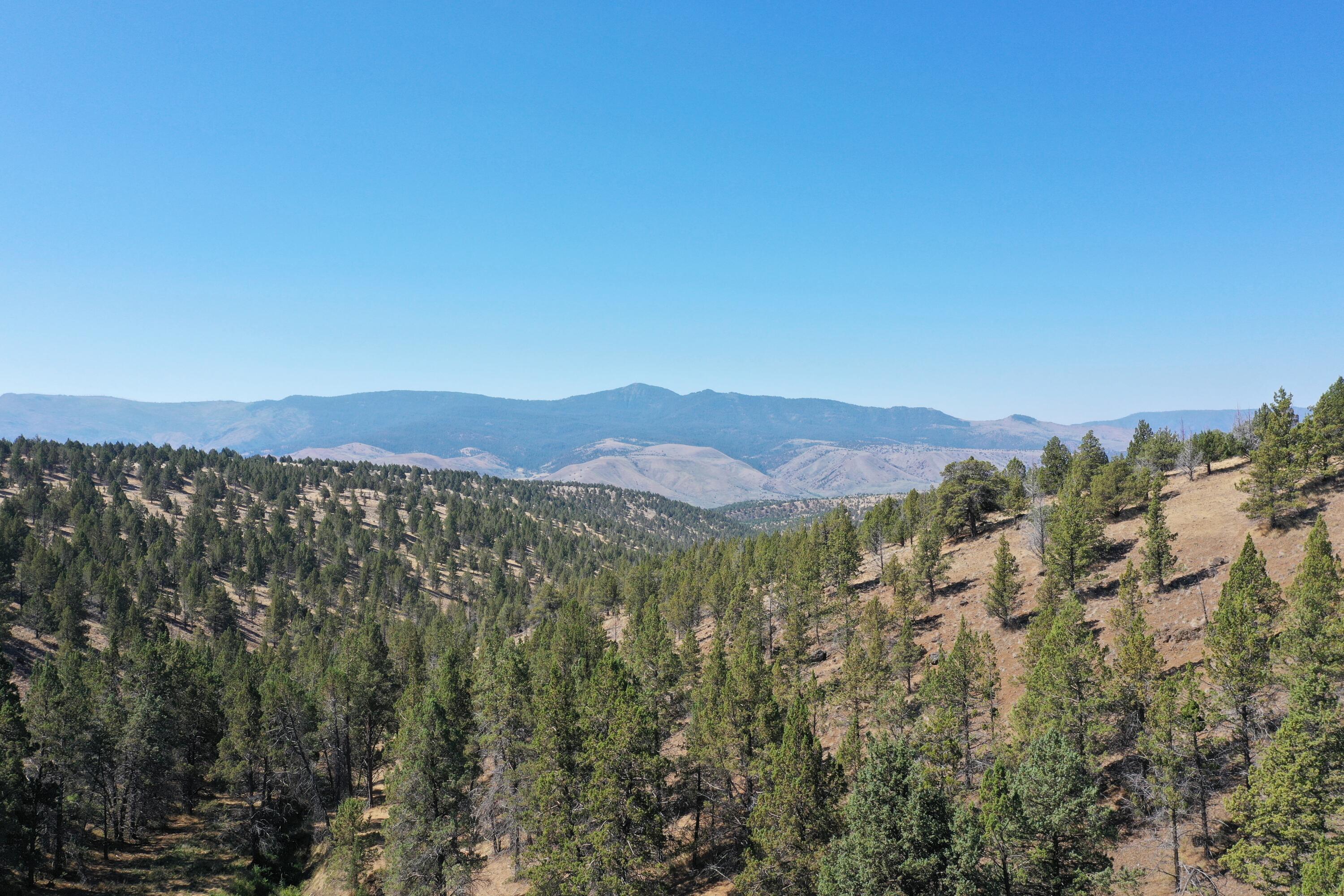 2400 Wiley Creek Road Mount Vernon, OR 97865 - Photo 25 of 34 DJI_0388