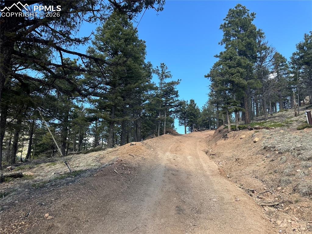 339 Eagle Mountain Road Manitou Springs, CO 80829 - Photo 12 of 19 a view of road and trees