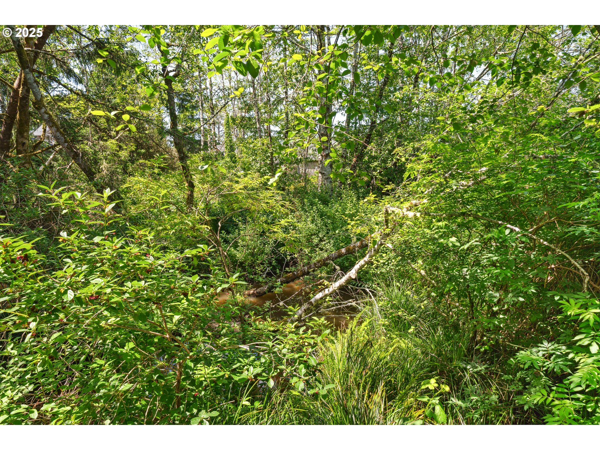 Kittiwake Rockaway Beach, OR 97136 - Photo 7 of 9