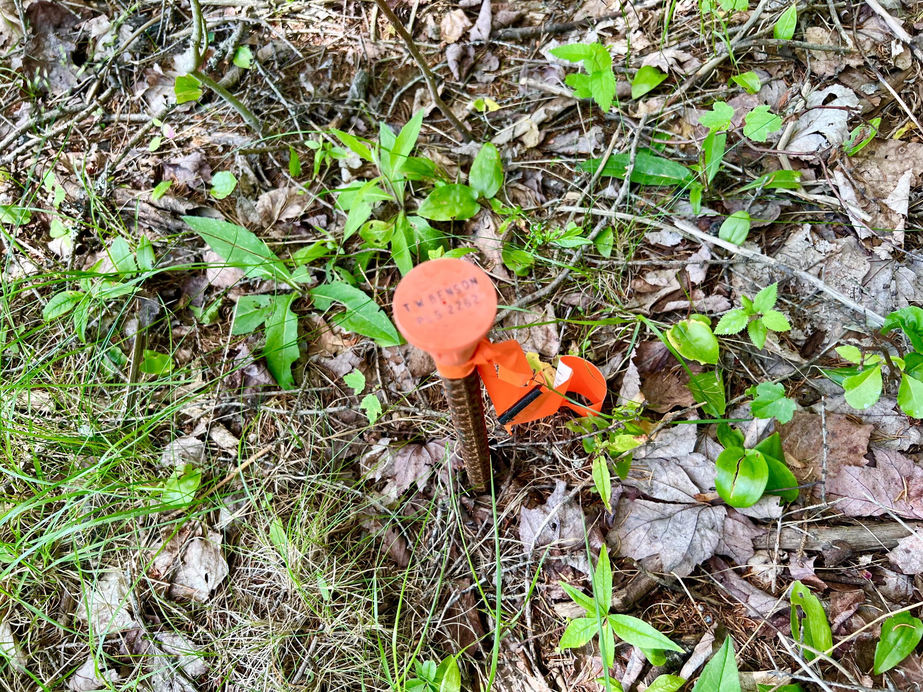 142 Seal Cove Road Southwest Harbor, ME 04679 - Photo 2 of 5 Survey pin