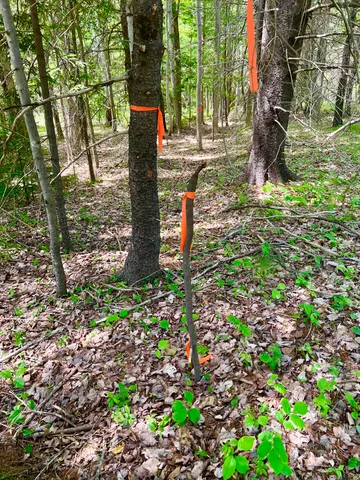 $220,000 | 142 Seal Cove Road, Southwest Harbor, ME 04679