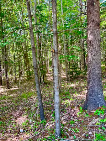 $185,000 | 142 Seal Cove Road, Southwest Harbor, ME 04679