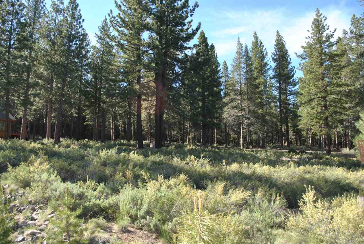 11220 Ghirard Road Truckee, CA 96161 - Photo 5 of 10