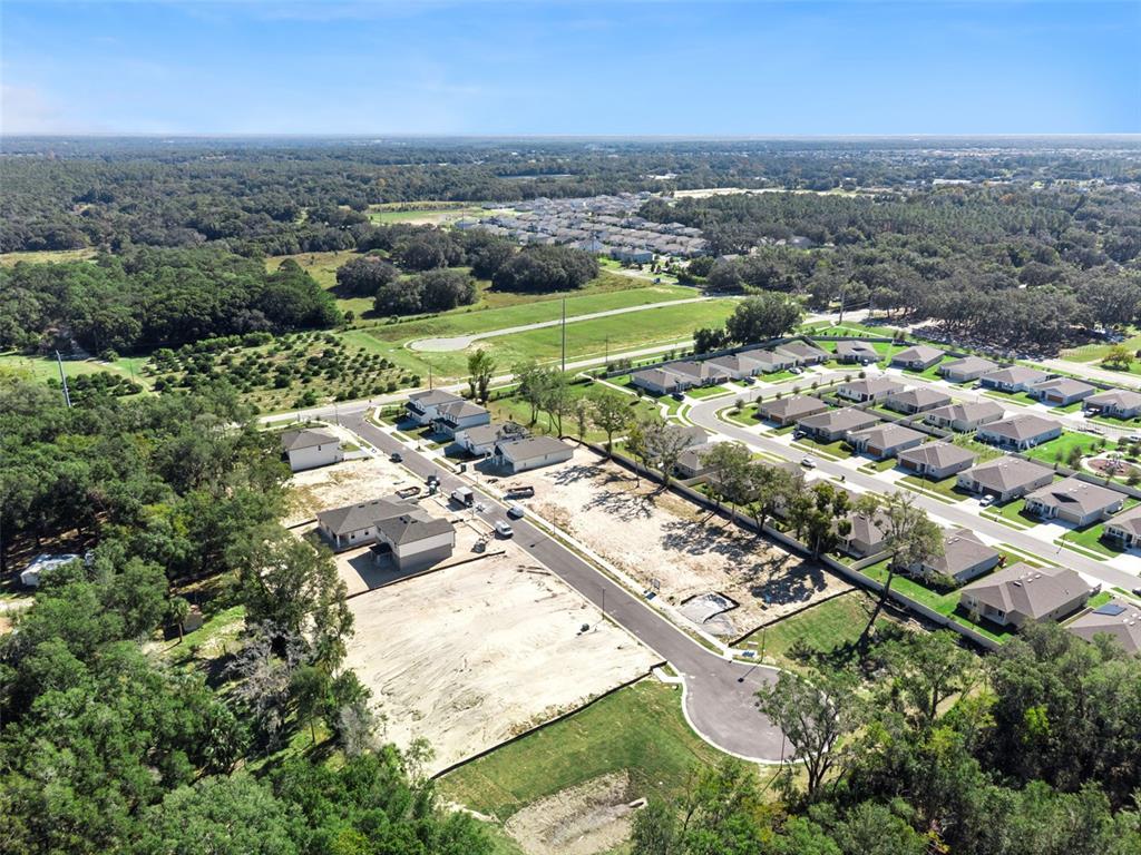 4295 Darby Court Eustis, FL 32736 - Photo 25 of 25 an aerial view of residential houses with outdoor space
