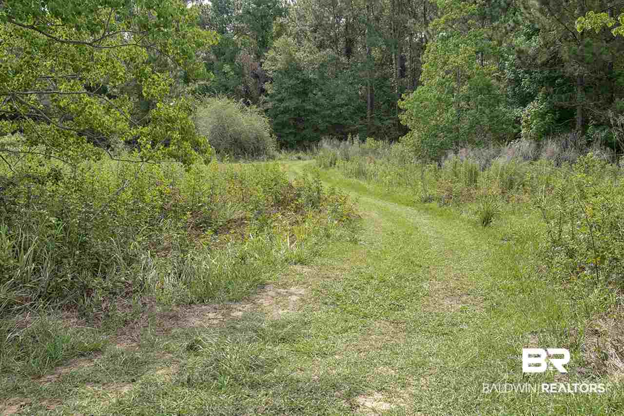 21561 Gullfoss Street Fairhope, AL 36532 - Photo 19 of 20 Hiking/Biking Trails