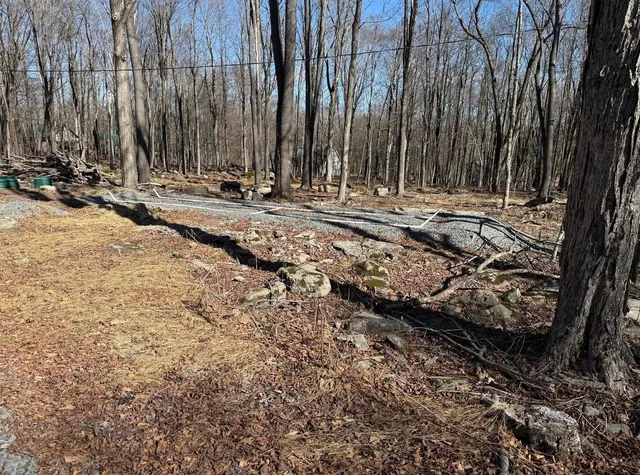 a view of outdoor space with trees