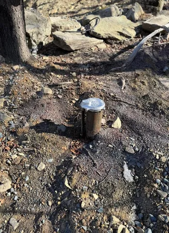 a view of a backyard of a house