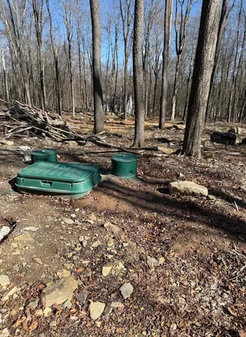a view of a backyard with trees