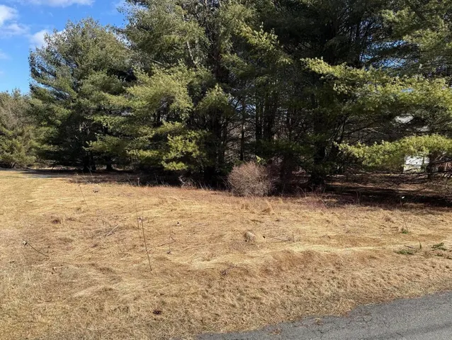 a view of backyard with wooden fence