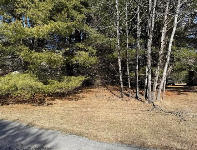 a view of a yard with wooden fence