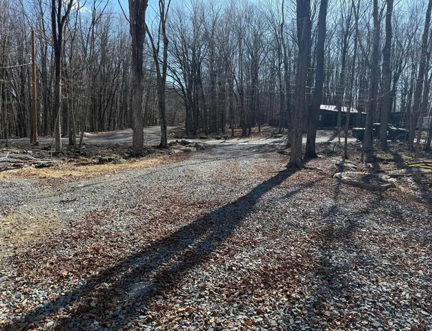 a view of outdoor space with trees