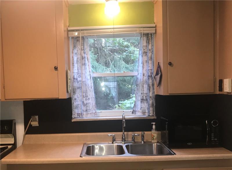 1518 Collins Road Pittsburgh, PA 15221 - Photo 12 of 25 Kitchen - Double Stainless sinks & look at the lovely back yard view!