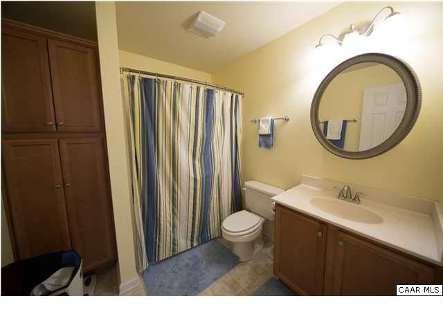 160 Greene Acres Road South Stanardsville, VA 22973 - Photo 10 of 34 Master Bathroom with lots of storage!