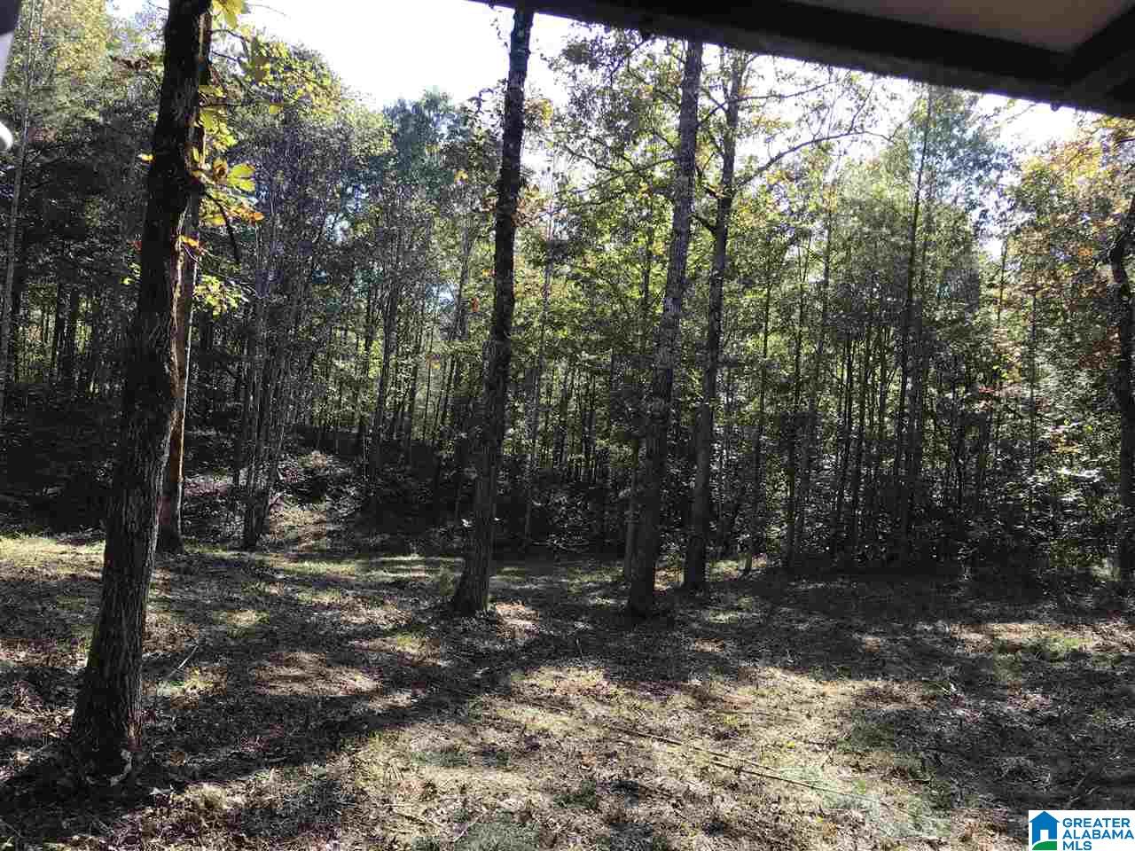 0 County Road 546 Verbena, AL 36091 - Photo 9 of 13