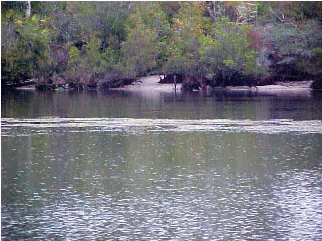 0 Riverlake Road Seminole, AL 36574 - Photo 11 of 14 Styx River