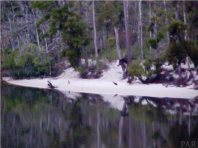 0 Riverlake Road Seminole, AL 36574 - Photo 13 of 14 Styx River
