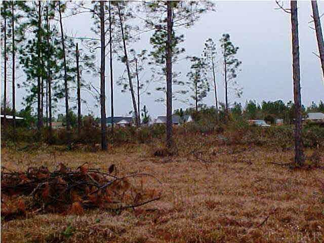 0 Riverlake Road Seminole, AL 36574 - Photo 4 of 14 Lot