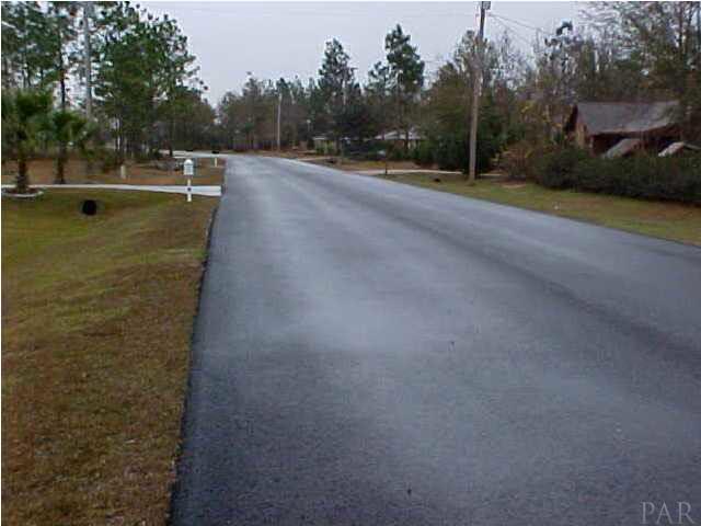 0 Riverlake Road Seminole, AL 36574 - Photo 8 of 14 View of Street to Right