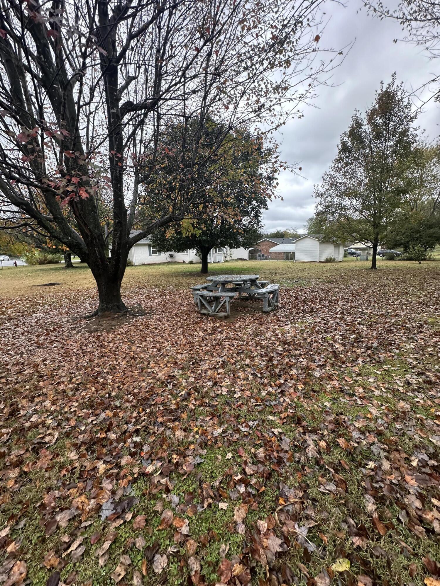 114 Hancock Road Jasper, TN 37347 - Photo 7 of 22 IMG_2068