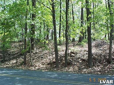 0 East Paxinosa Road East Easton, PA 18040 - Photo 1 of 4 a view of a garden