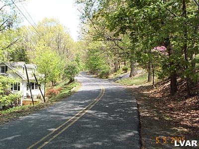 0 East Paxinosa Road East Easton, PA 18040 - Photo 3 of 4 a view of road with large trees