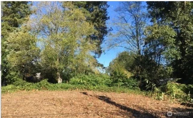 a backyard of a house with lots of green space