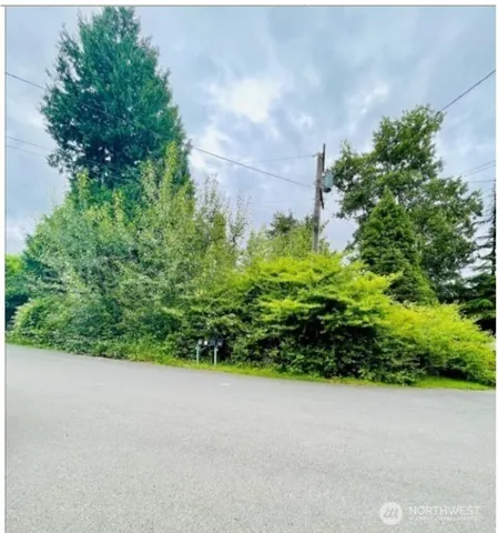 a view of a garden with plants