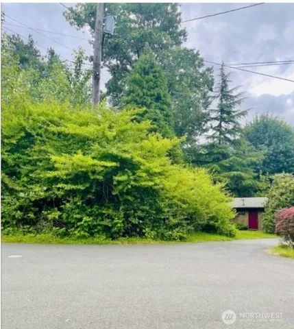 a view of a yard with plants and a bench