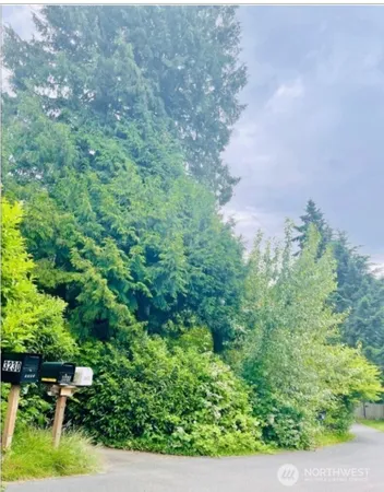 a view of outdoor space and yard