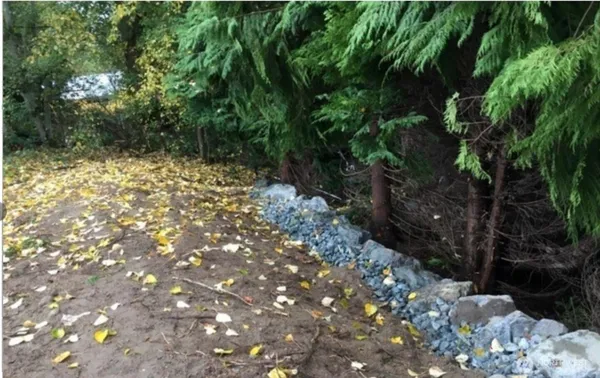 a yard with a tree