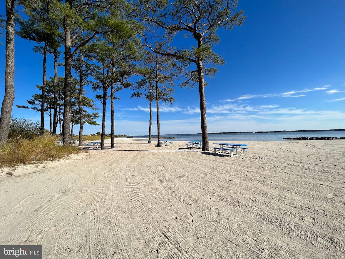 34386 Mallard Road, Unit 482 Long Neck, DE 19966 - Photo 31 of 41 a view of a house with a tree in the background
