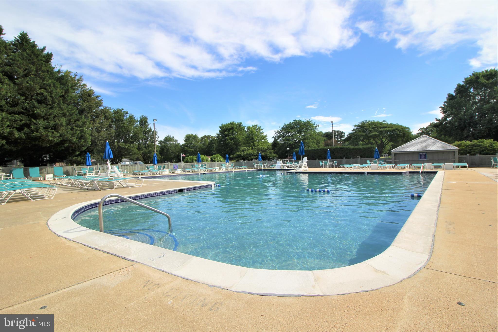 34386 Mallard Road, Unit 482 Long Neck, DE 19966 - Photo 41 of 41 a view of a swimming pool with a yard
