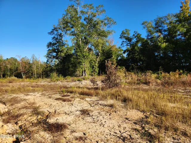 $85,000 | 20 St Hosford, Hosford, FL 32334