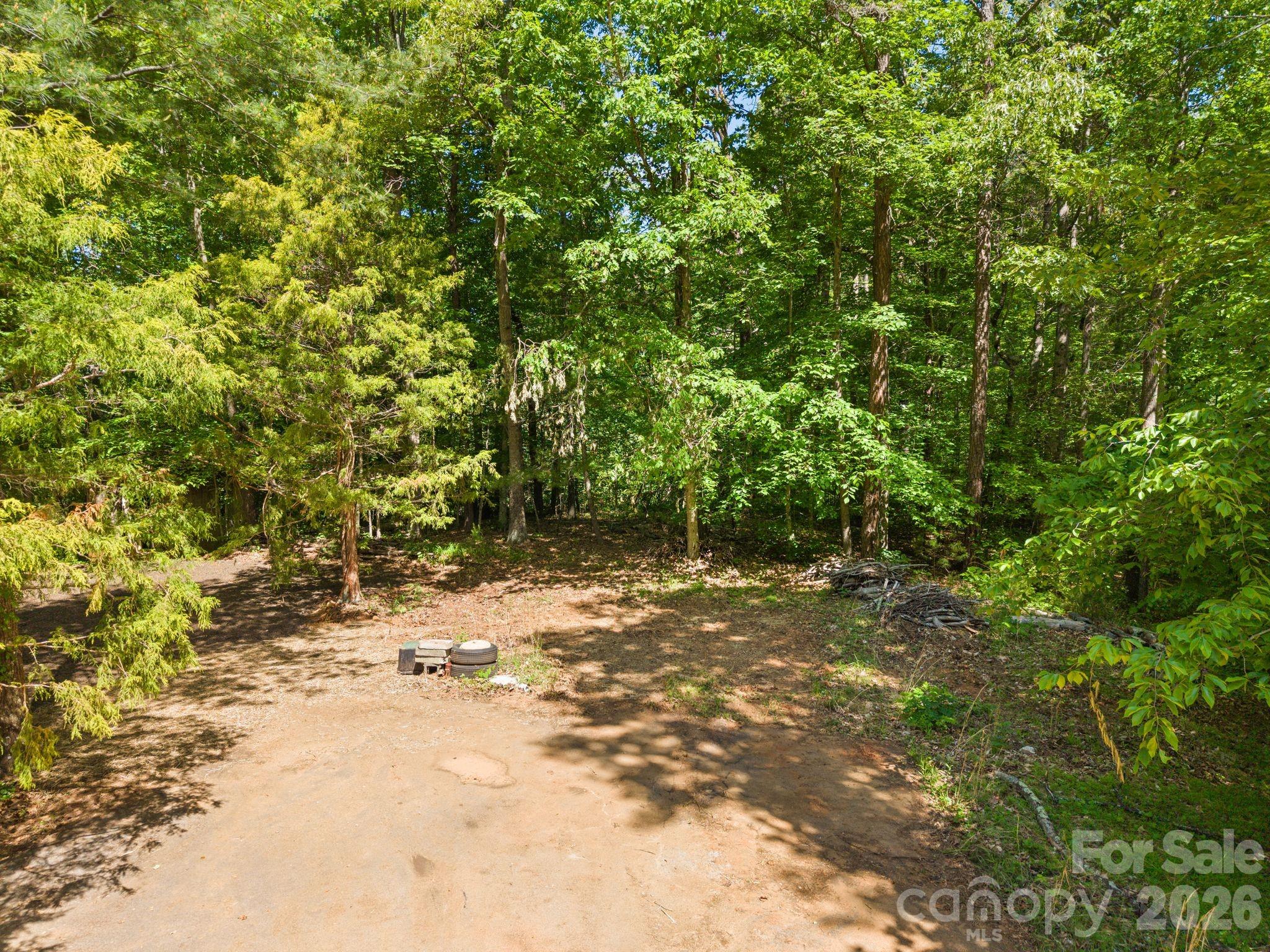 31 White Bridge Road Weaverville, NC 28787 - Photo 8 of 14