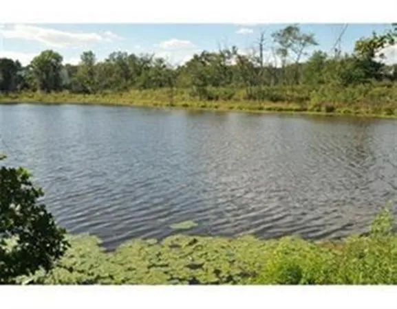 a view of a lake