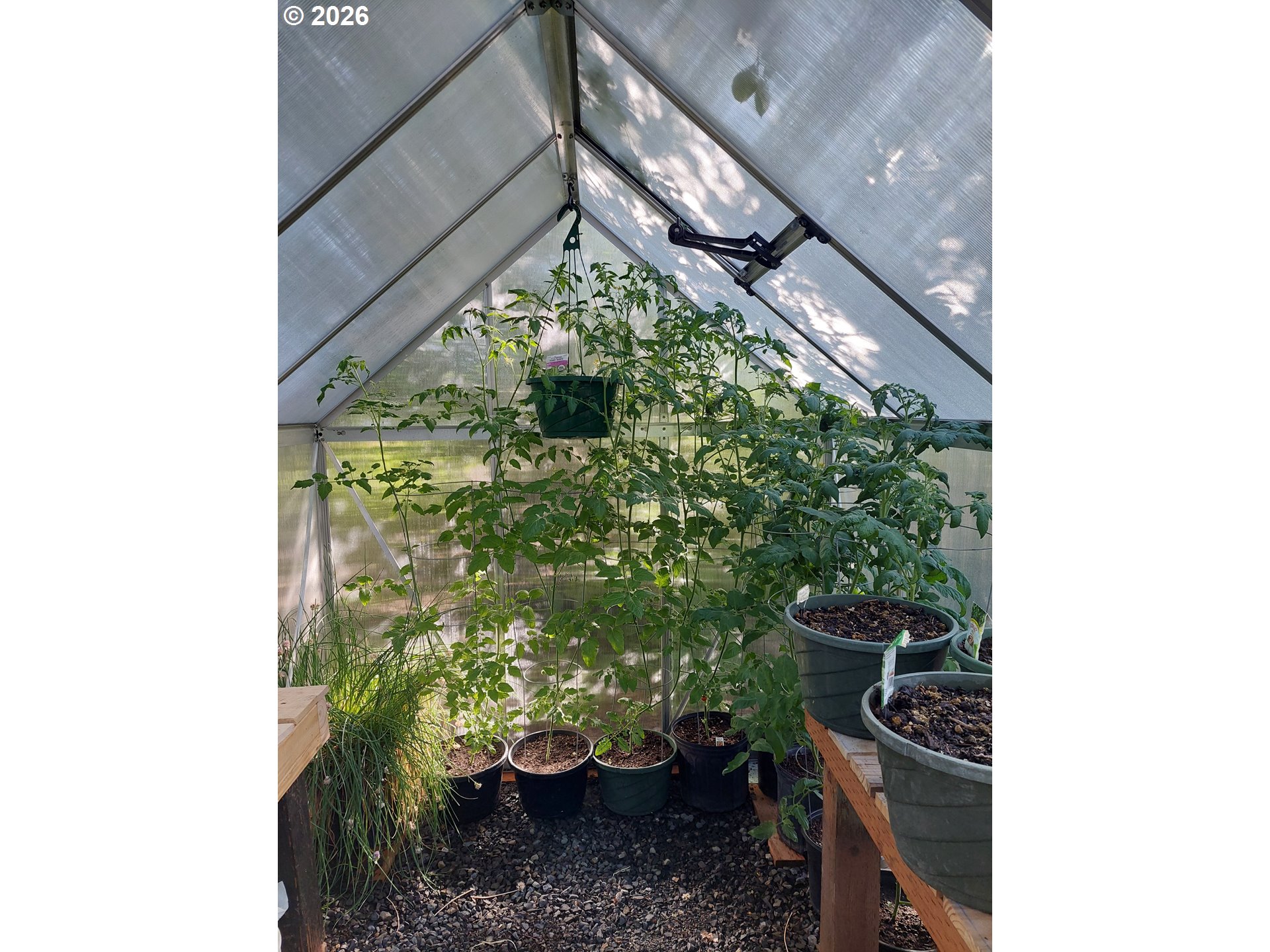 704 Residence Street Enterprise, OR 97828 - Photo 14 of 26 a backyard of a house