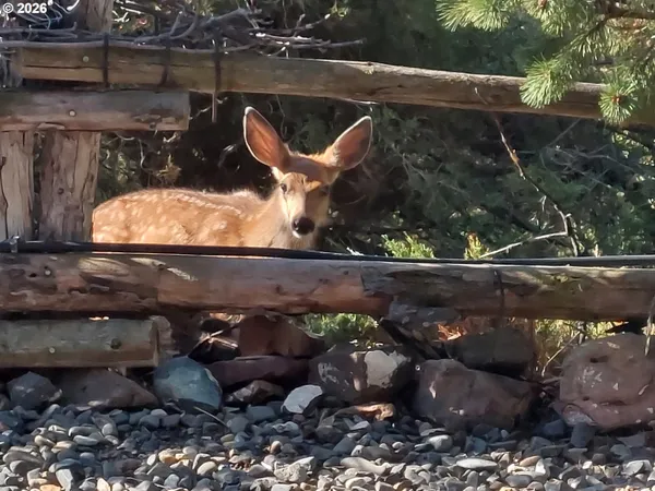 a view of a city with mountain