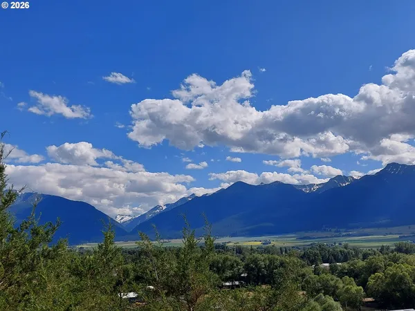 a view of a flower in a garden