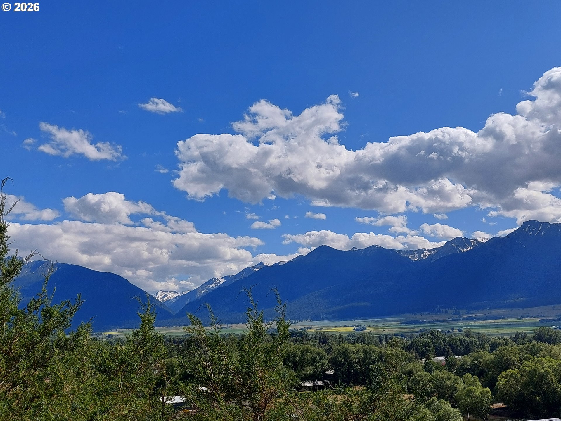 704 Residence Street Enterprise, OR 97828 - Photo 8 of 26 a view of a flower in a garden