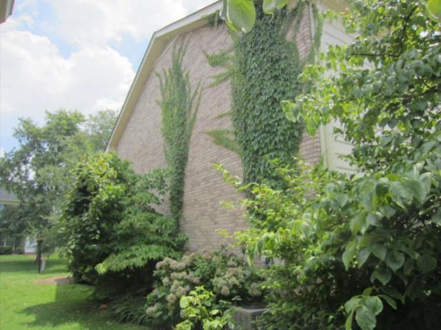 1334 Gen George Patton Road, Unit 1334 Nashville, TN 37221 - Photo 2 of 8