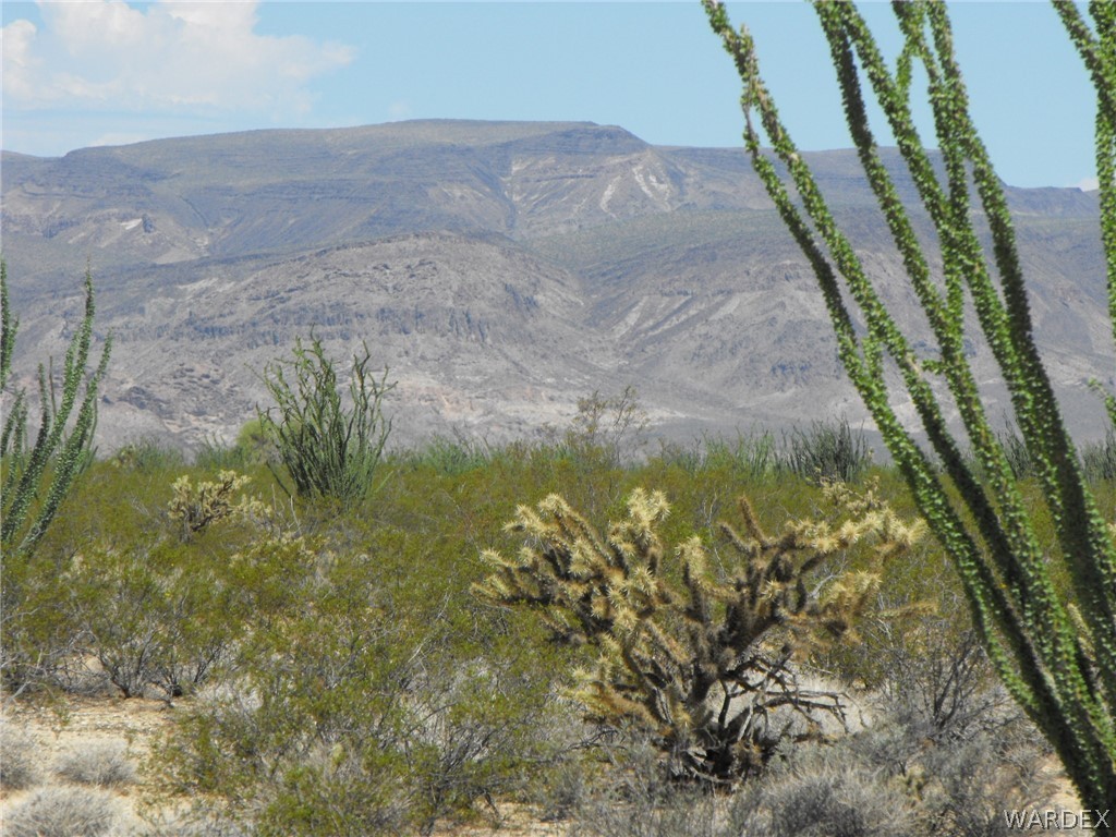 33 West Cielo Road Yucca, AZ 86438 - Photo 1 of 17 Gallery Image 1