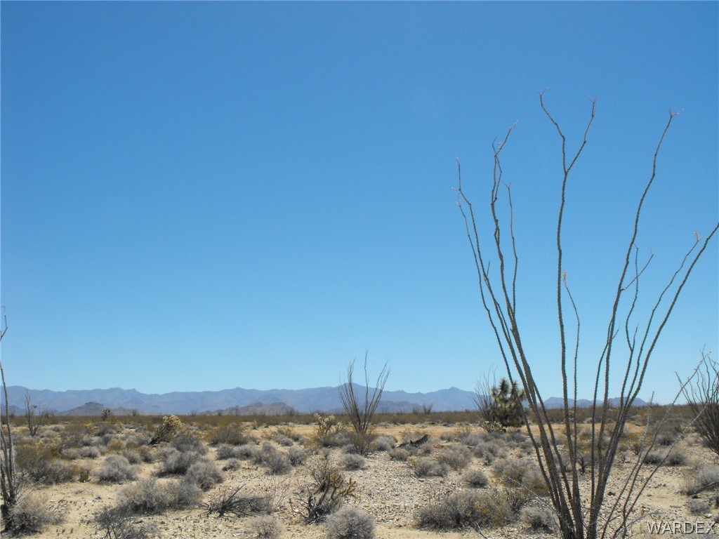 33 West Cielo Road Yucca, AZ 86438 - Photo 3 of 17 Gallery Image 3