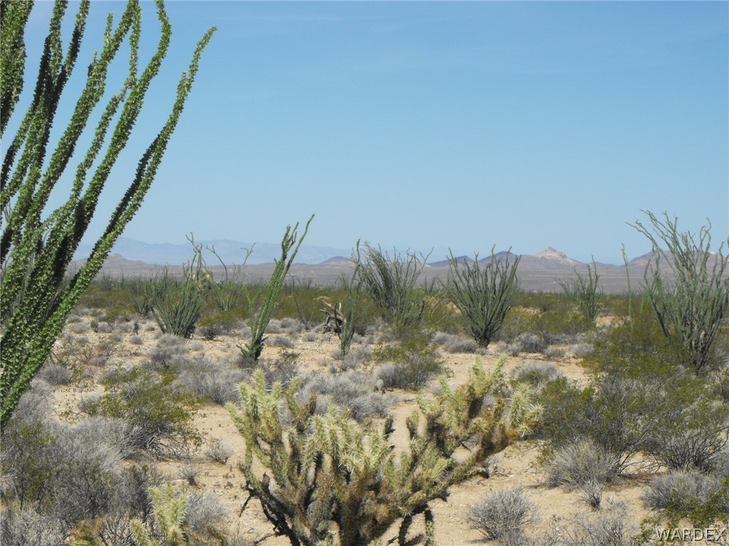 33 West Cielo Road Yucca, AZ 86438 - Photo 4 of 17 Gallery Image 4