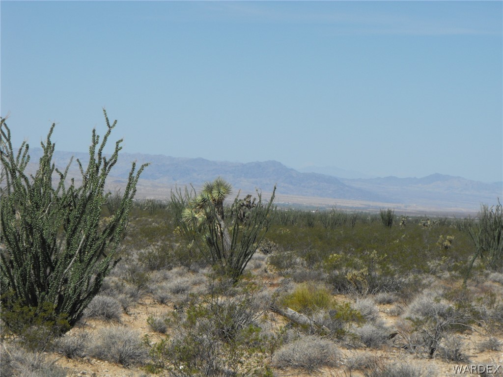 33 West Cielo Road Yucca, AZ 86438 - Photo 7 of 17 Gallery Image 7