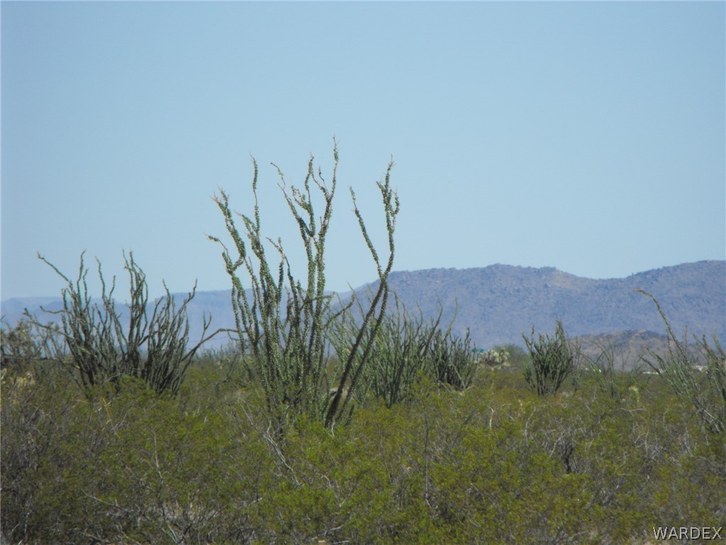 33 West Cielo Road Yucca, AZ 86438 - Photo 9 of 17 Gallery Image 9
