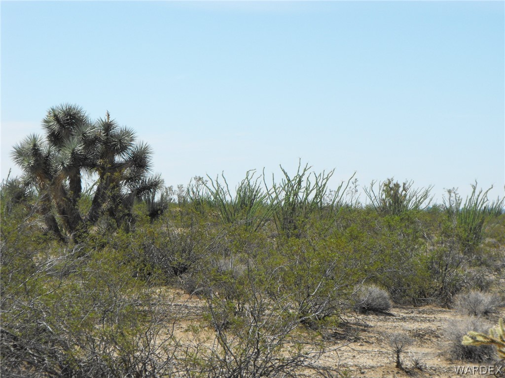 33 West Cielo Road Yucca, AZ 86438 - Photo 10 of 17 Gallery Image 10
