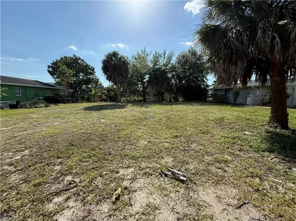 a view of a yard with a tree