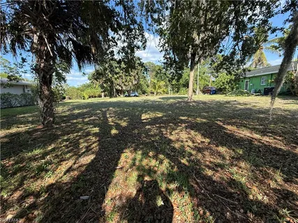 a view of yard with trees