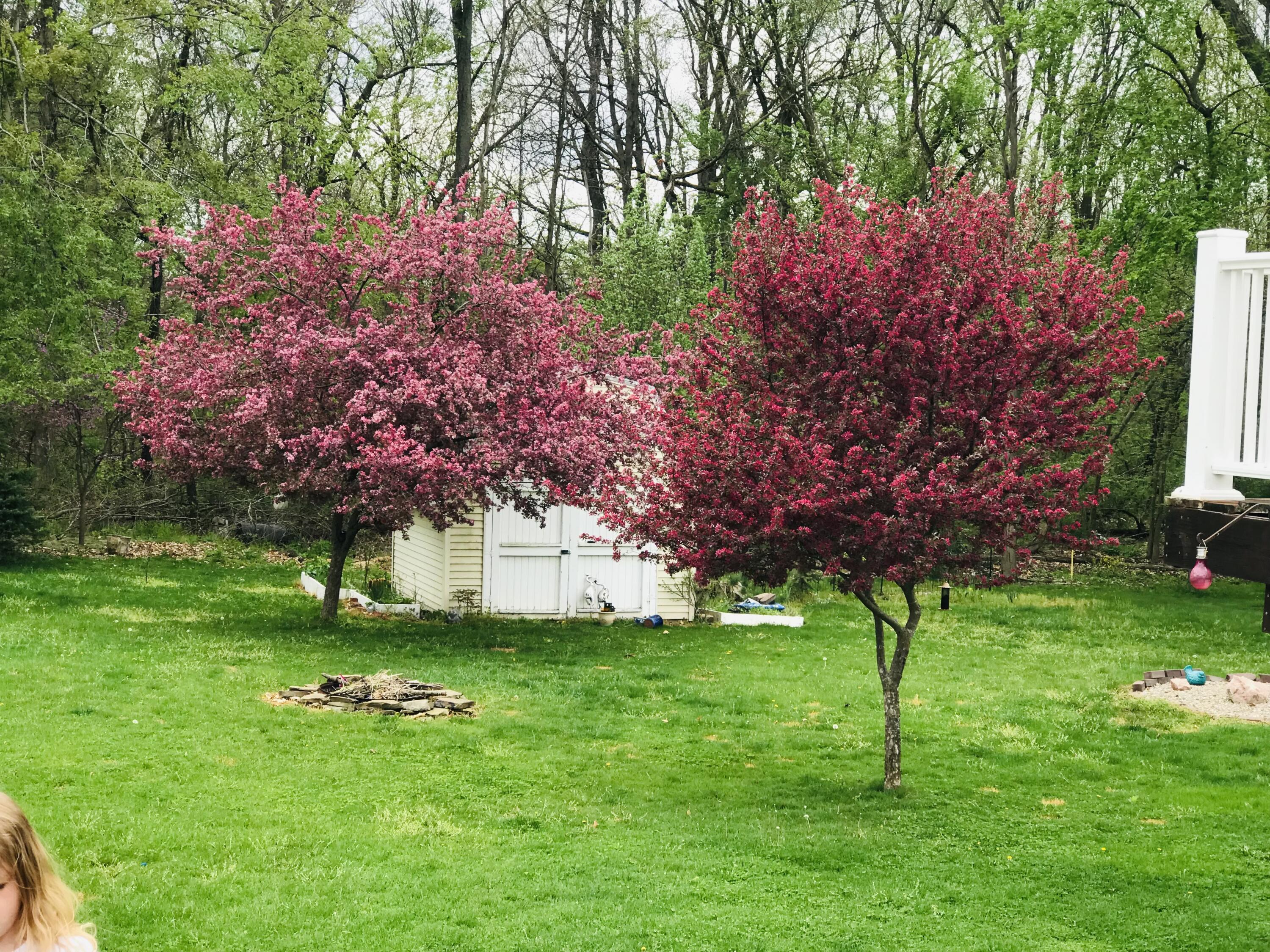 116 Ridgeview Court Grass Lake, MI 49240 - Photo 20 of 22 IMG_3298 (003)