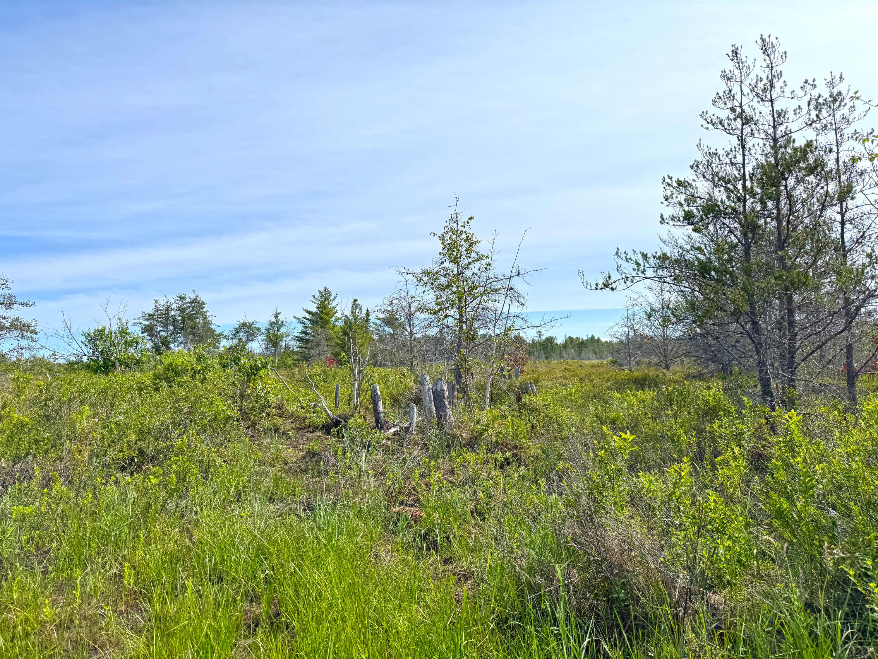 31005 West Wild Cat Road Paradise, MI 49768 - Photo 24 of 90 Gallery Image 24